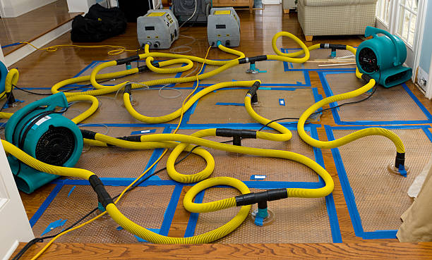 Professional Basement Flood Cleanup technician working in Yucca Valley, CA